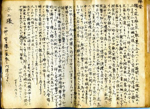 开挂辅助工具“微乐卡五星可以开挂吗”详细开挂玩法