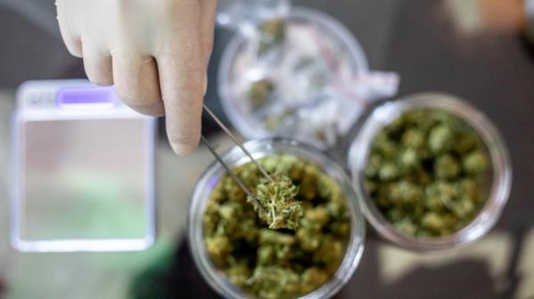 有毒品前科的重罪犯在纽约获得第一张大麻执照
