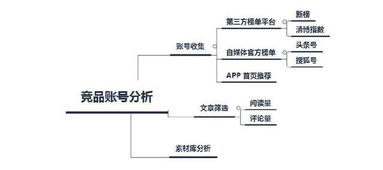 齐放：揭秘平台内幕，探究自媒体的成功之道