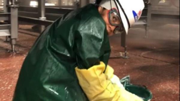 儿童在肉类加工厂工作导致包装工被罚款