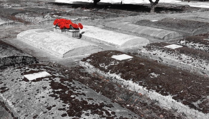 希腊大火后，暴雨造成一人死亡