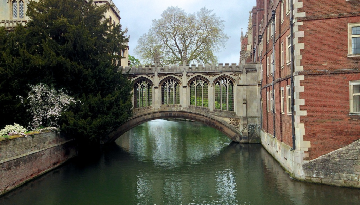英国令人惊讶的新贵大学