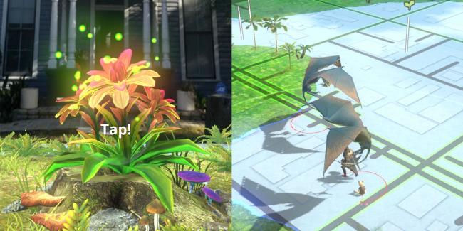 plant gathering spot in AR and wingdrakes on the map