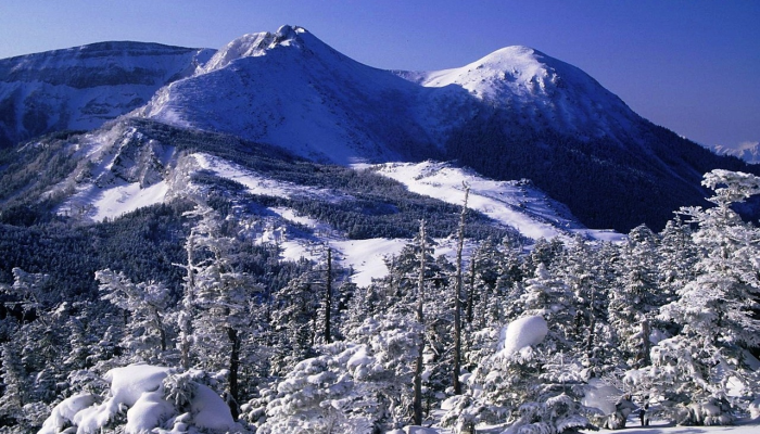 一名俄罗斯男子在雪地里写下“拒绝战争”，被判入狱10天