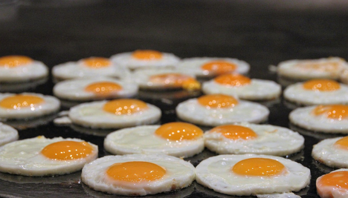 开挂辅助工具“情怀麻将开挂必赢神器”(曝光透视必备猫腻) 开挂辅助工具“情怀麻将开挂必赢神器”(曝光透视必备猫腻)