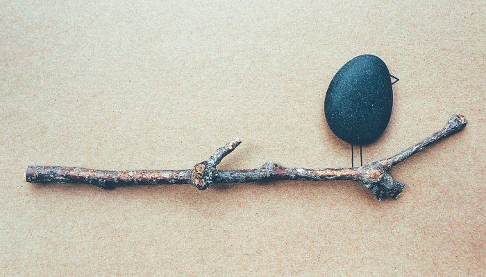 塔拉克的房子里有枪支和子弹