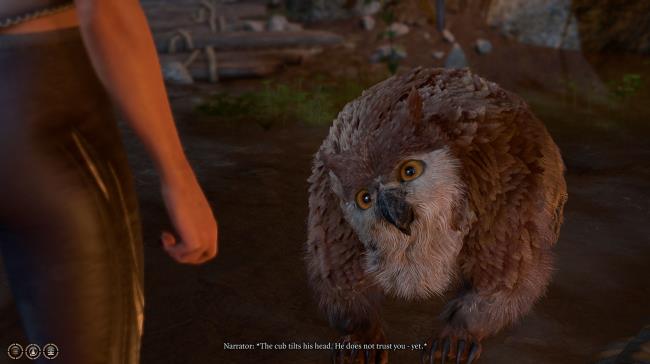 Owlbear Cub arrives at camp in Baldur's Gate 3