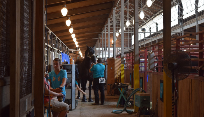 印共(马)提出联邦院锡尔凯拉隧道事件，要求公平调查