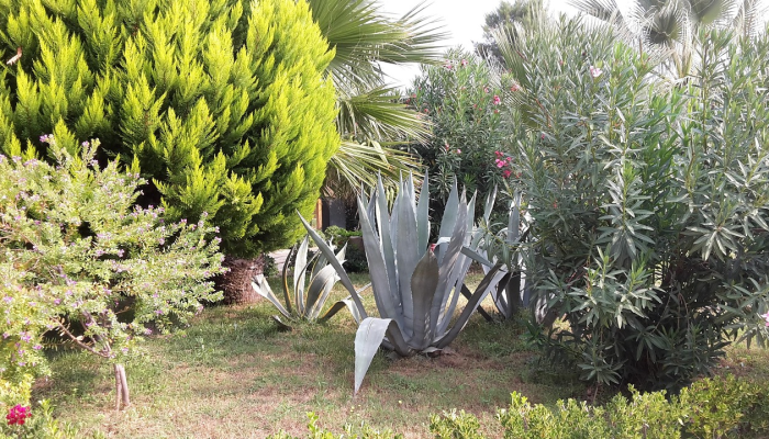 教程辅助!“约局吧怎么开挂”详细开挂玩法 教程辅助!“约局吧怎么开挂”详细开挂玩法