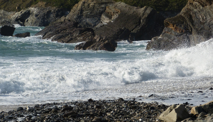 Vizag渔民在Sagar Nagar海滩发现罕见的毒蛇,并将其放回大海 Vizag渔民在Sagar Nagar海滩发现罕见的毒蛇,并将其放回大海