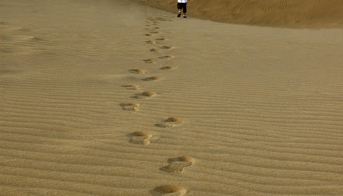 飓风“李”逐渐增强这是南卡罗来纳州沿海地区可能受到影响的时间 飓风“李”逐渐增强这是南卡罗来纳州沿海地区可能受到影响的时间