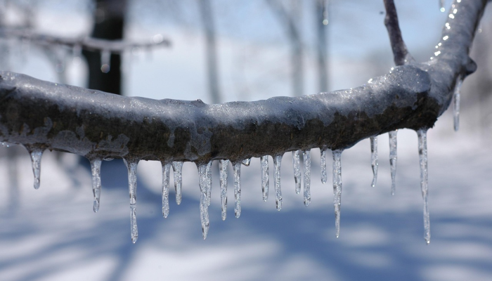 随着冬季风暴加剧，南加州迎来了罕见的降雪