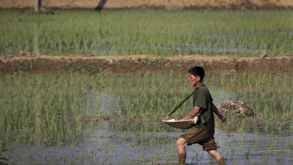 辅助神器“微乐四川麻将外卦神器下载安装安卓”详细开挂玩法
