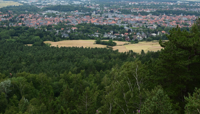 随着哈瓦拉学校关闭，以色列定居者袭击了巴勒斯坦城镇