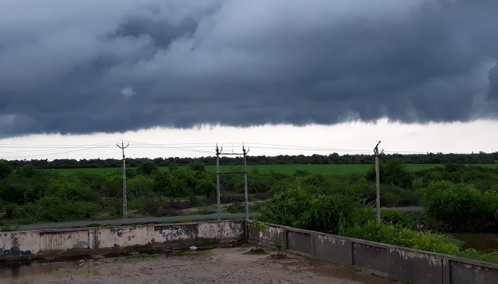 即将到来的泰米尔纳德邦和古吉拉特邦投资者会议将带来很大的影响 即将到来的泰米尔纳德邦和古吉拉特邦投资者会议将带来很大的影响