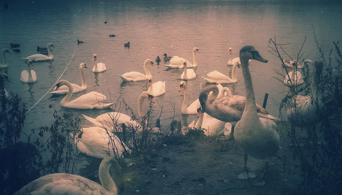 总干事说,从1月到10月,MMEA在海上拯救了1365人的生命 总干事说,从1月到10月,MMEA在海上拯救了1365人的生命