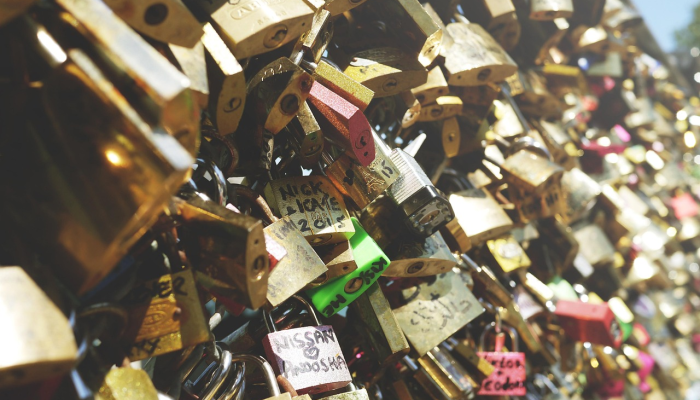 美国将在2024年面临死亡 美国将在2024年面临死亡