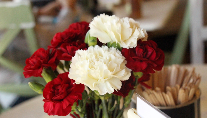 花商将鲜花作为情人节礼物送给数百名寡妇 花商将鲜花作为情人节礼物送给数百名寡妇