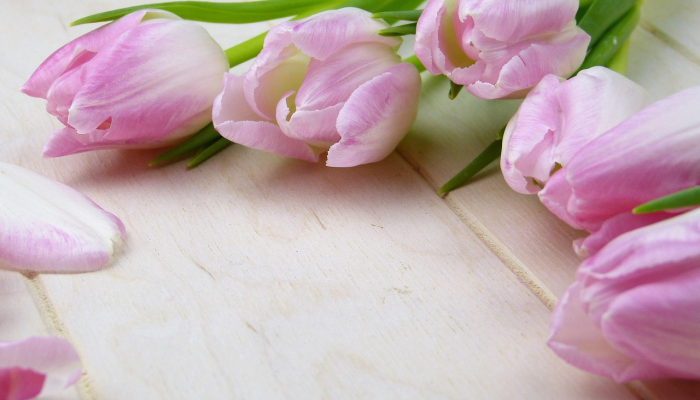 花商将鲜花作为情人节礼物送给数百名寡妇 花商将鲜花作为情人节礼物送给数百名寡妇