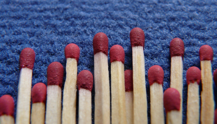 生活在另一片土地上是一种礼物和教育 生活在另一片土地上是一种礼物和教育