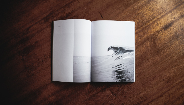 生活在另一片土地上是一种礼物和教育 生活在另一片土地上是一种礼物和教育