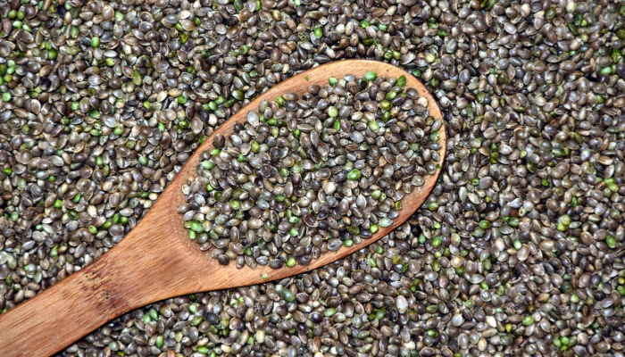 推荐一款”桂麻圈怎么开挂”(原来确实是有挂) 推荐一款”桂麻圈怎么开挂”(原来确实是有挂)