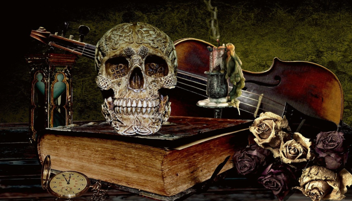 科学家揭开了津巴布韦大象神秘死亡的原因