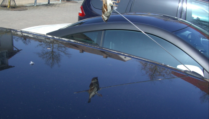 得梅因警方确认一名男子在南区撞车事故中死亡 得梅因警方确认一名男子在南区撞车事故中死亡