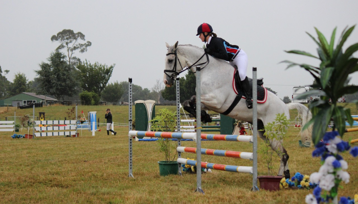 救援人员说,骑手被马绊倒,在科罗拉多山上可怕地摔倒 救援人员说,骑手被马绊倒,在科罗拉多山上可怕地摔倒