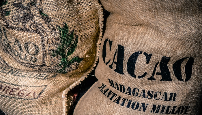 科学家们终于发现了“猴子美人鱼”木乃伊到底是什么 科学家们终于发现了“猴子美人鱼”木乃伊到底是什么