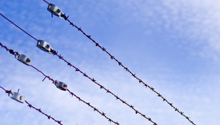 只有炮火、钢铁和死亡：以色列围困和轰炸下的加沙居民