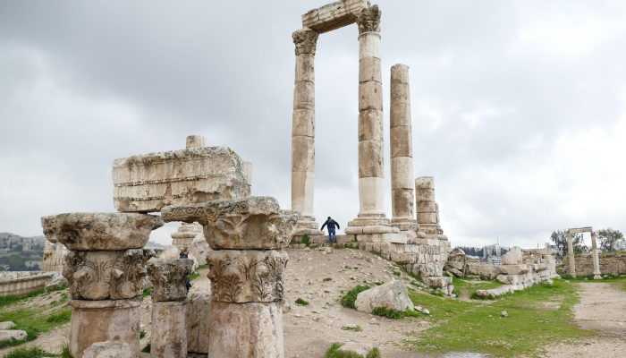 新的分析揭示了古罗马铁器时代坟墓中发现的海龟遗骸之谜 新的分析揭示了古罗马铁器时代坟墓中发现的海龟遗骸之谜