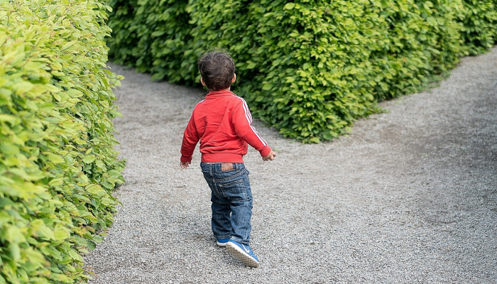 工作生活:我有一辆电动自行车,它让爬山变得不那么令人生畏 工作生活:我有一辆电动自行车,它让爬山变得不那么令人生畏