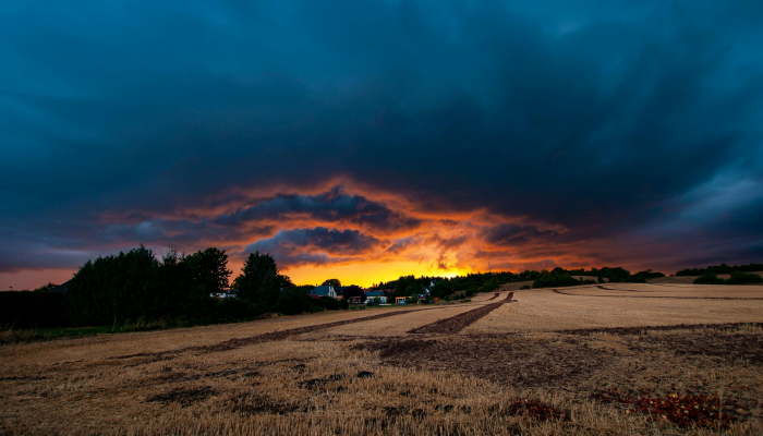在恶劣的天气条件下,德克萨斯州的消防员正在与该州最大的野火作战 在恶劣的天气条件下,德克萨斯州的消防员正在与该州最大的野火作战
