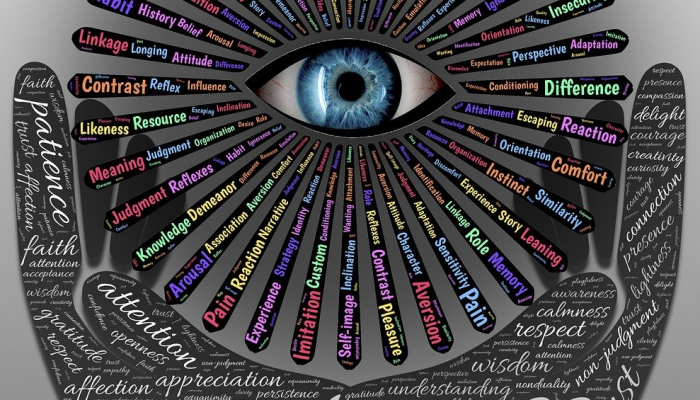 快速脑转化：对迷幻辅助心理治疗的神经学见解