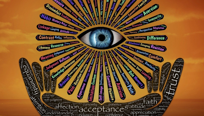 快速脑转化：对迷幻辅助心理治疗的神经学见解