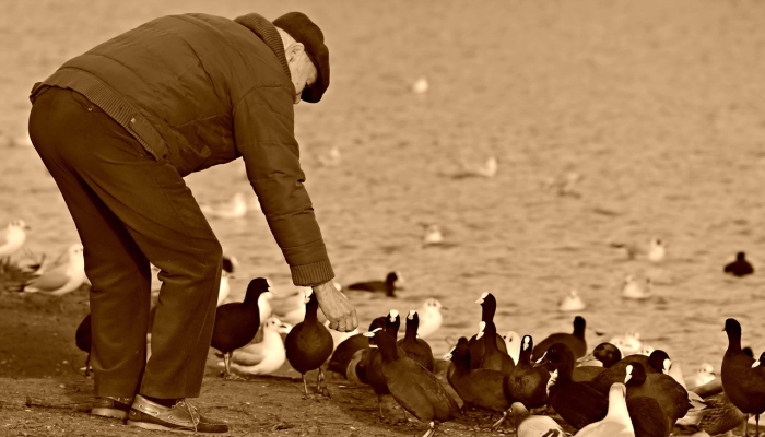 辅助神器“拱趴游戏大菠萝如何拿好牌!分享用挂教程 辅助神器“拱趴游戏大菠萝如何拿好牌!分享用挂教程