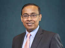 拉纳·古普塔(Rana Gupta)列出了4只被低估或估值合理的大盘股