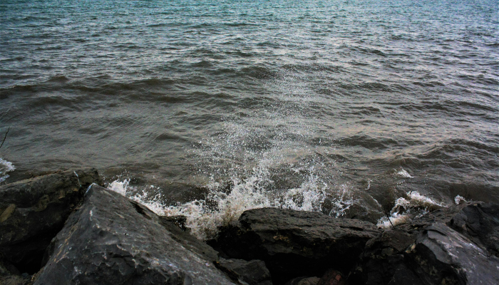 可用版本“海浪手游牛牛挂免费领取”(曝光透视必备猫腻) 可用版本“海浪手游牛牛挂免费领取”(曝光透视必备猫腻)