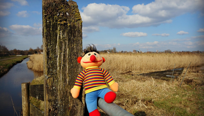 最新教你“博乐填大坑有挂吗”其实确实有挂 最新教你“博乐填大坑有挂吗”其实确实有挂