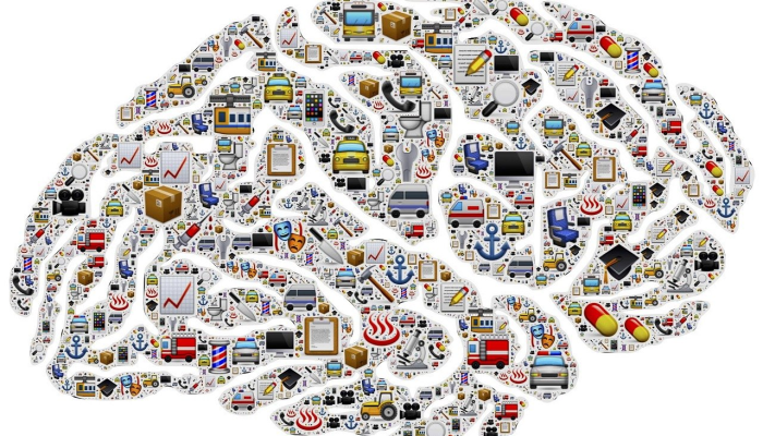 神经元死亡蛋白：新研究显示睡眠剥夺如何损害大脑