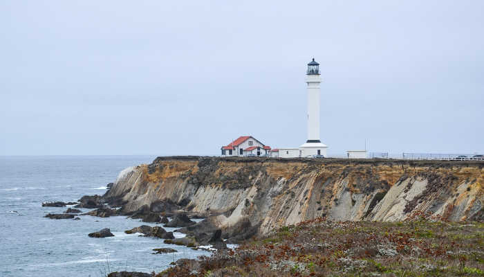 巨大的生物在加利福尼亚海岸展示它“巨大”的力量见图