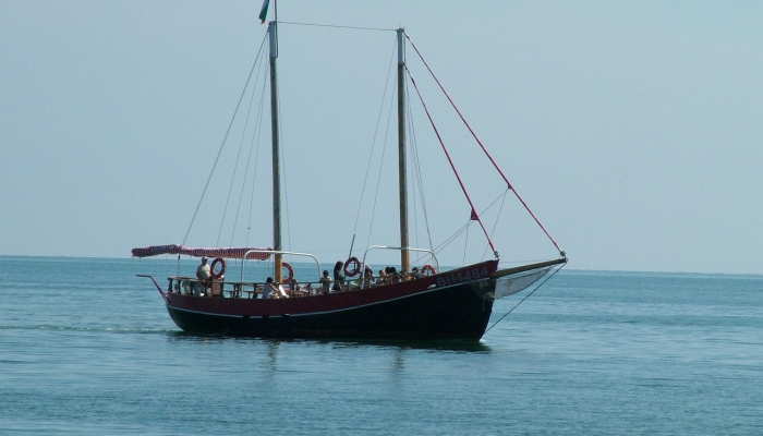 土耳其、保加利亚、罗马尼亚联合搜寻黑海水雷