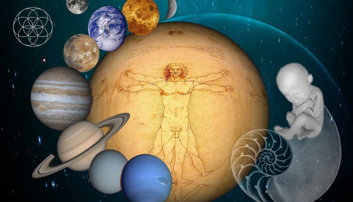 新的研究揭示了植物来源的营养素如何影响肠道和大脑 新的研究揭示了植物来源的营养素如何影响肠道和大脑