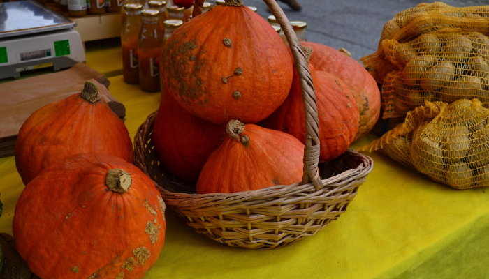 南瓜的力量:这种南瓜是超级食物的7个原因 南瓜的力量:这种南瓜是超级食物的7个原因