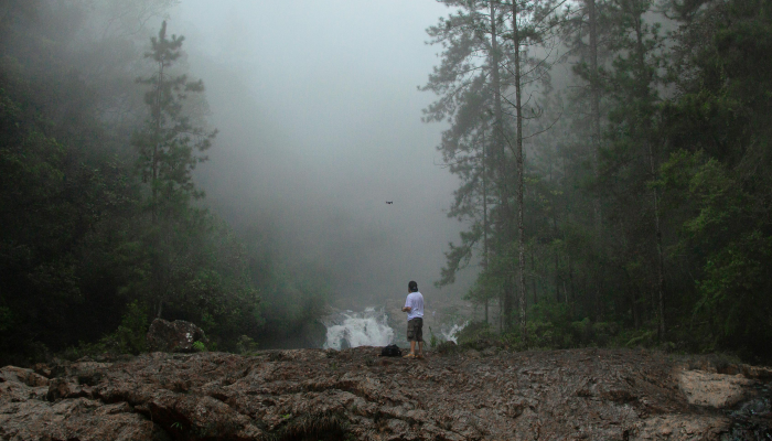 年轻人不得不在气候恐惧中“过快”成长：滕伯格