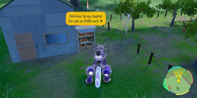Main character buying a Syrupy Apple in Pokemon Scarlet & Violet:The Teal Mask.
