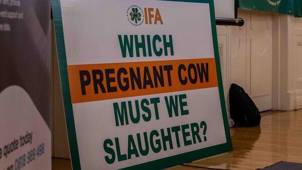 'The commission is allowing us no time': Derogation pushes Cork farmers to protest