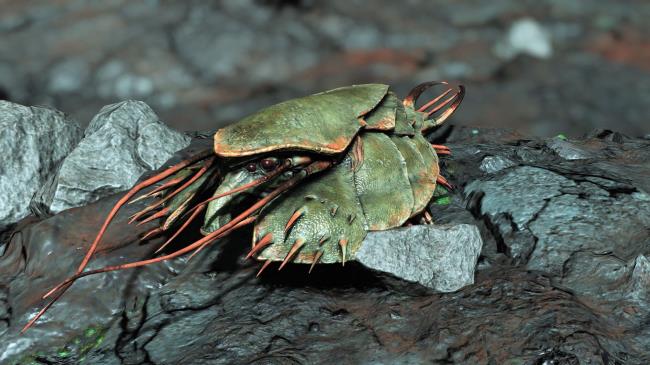 Starfield: Trilobite