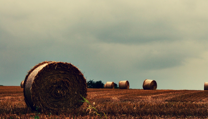 11个州考虑对农业设备进行“修理权” 11个州考虑对农业设备进行“修理权”